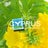 Cyprus Tourism, profile picture