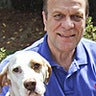 Tom Brander, profile picture