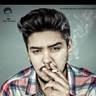 David Bayardo Profile