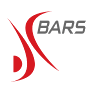 ДС БАРС, profile picture