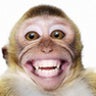 SlideShare profile picture for @demolition