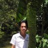 Huy Tuong, profile picture