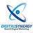Digital Synergy, profile picture