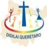 Dimensión Querétaro, profile picture