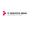 IT Services India, profile picture