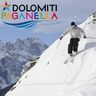 ApT Dolomiti Paganella, profile picture