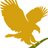 Forever Living Products en Loja Ecuador, profile picture