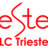 EESTEC LC Trieste, profile picture