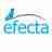 Efecta Assessoria Empresarial, Marketing e TI, profile picture