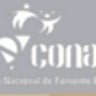 Coordinación Estatal, profile picture