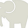 Elephants Abroad, profile picture