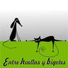 Entre Huellas y Bigotes Valladolid, profile picture