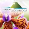Altos Escondidos Panama, profile picture