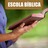 Escola Bíblica Sem Fronteiras, profile picture