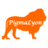 PigmaLyon Marketing, profile picture