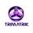 Trimatrik Multimedia, profile picture