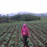 Inti Firdaus Profile