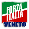 Forza Italia - Veneto, profile picture