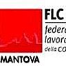 flc-mantova, profile picture