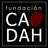 Fundación CADAH TDAH, profile picture