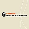 Fundación Minera Escondida, profile picture