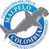 Fundación Malpelo, profile picture
