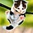 fungfung Chen, profile picture