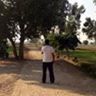 Faseeh Cheema