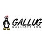 Galliate Linux User Group, profile picture
