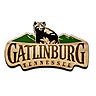 Gatlinburg Department of Tourism, profile picture