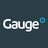 Gauge, profile picture