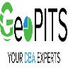 GeoPITS Global Pvt Ltd, profile picture