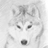Good Wolf Profile
