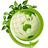 GREENER - Association for green society, profile picture