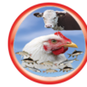 Growel Agrovet Private Limited, profile picture