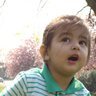 Deepak Raj Bhatta Profile