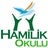 Hamilik Okulu, profile picture