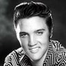 Elvis , profile picture
