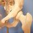 Hip Arthroscopy-Physiocure, profile picture