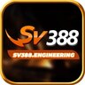 Sv388  Engineering, profile picture