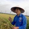 Chỉ Milô Profile
