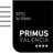 hotelprimusvalencia, profile picture