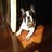 Helder Oliveira, profile picture