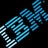 IBM, profile picture