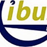 ibus plc, profile picture