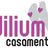 Idilium Casaments - Idilium grup, profile picture