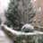 instituto julio_caro_baroja, profile picture