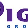 IGI Group, profile picture