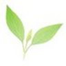 Environmental Consortium for Leadership Development (EcoLeaD), profile picture