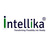 Intellika, profile picture